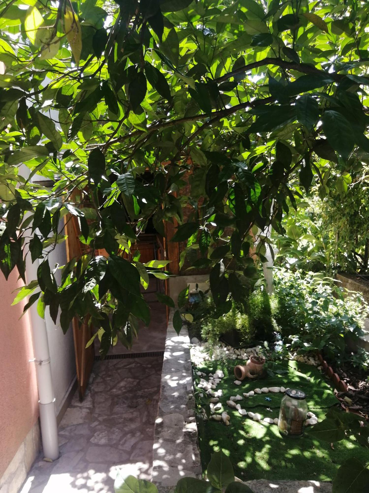 Ninic Family Apartments Tivat Exterior photo